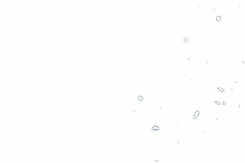 Cô Dâu Của Sói Trắng [Chap 1-154]