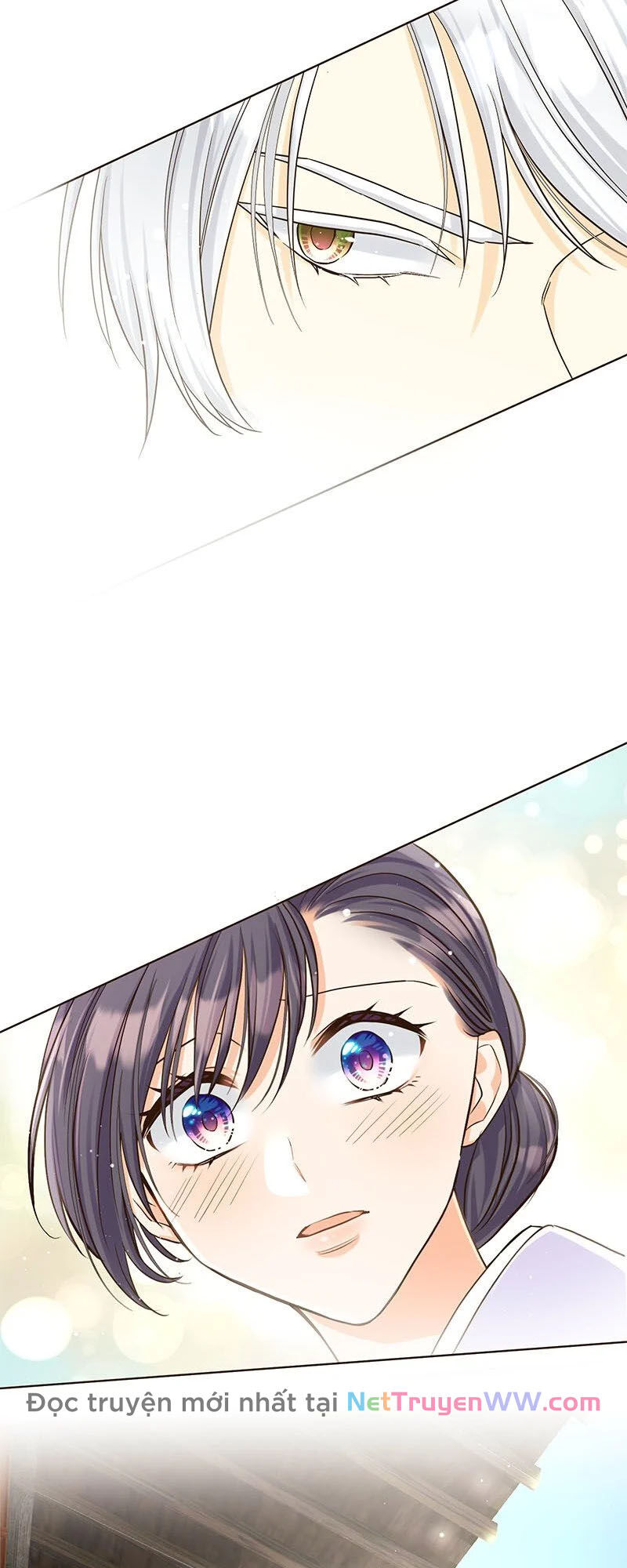 Cô Dâu Của Sói Trắng [Chap 1-154]