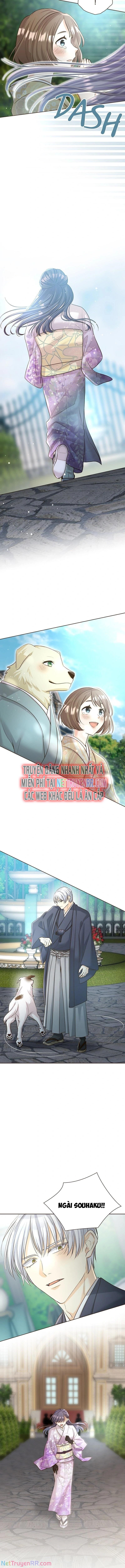 Cô Dâu Của Sói Trắng [Chap 1-154]