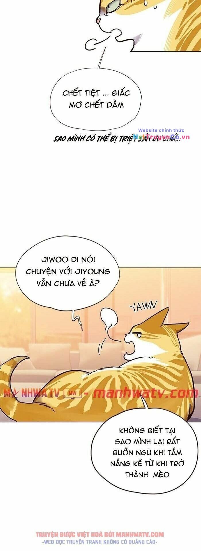 Cô Dâu Của Sói Trắng [Chap 1-154]
