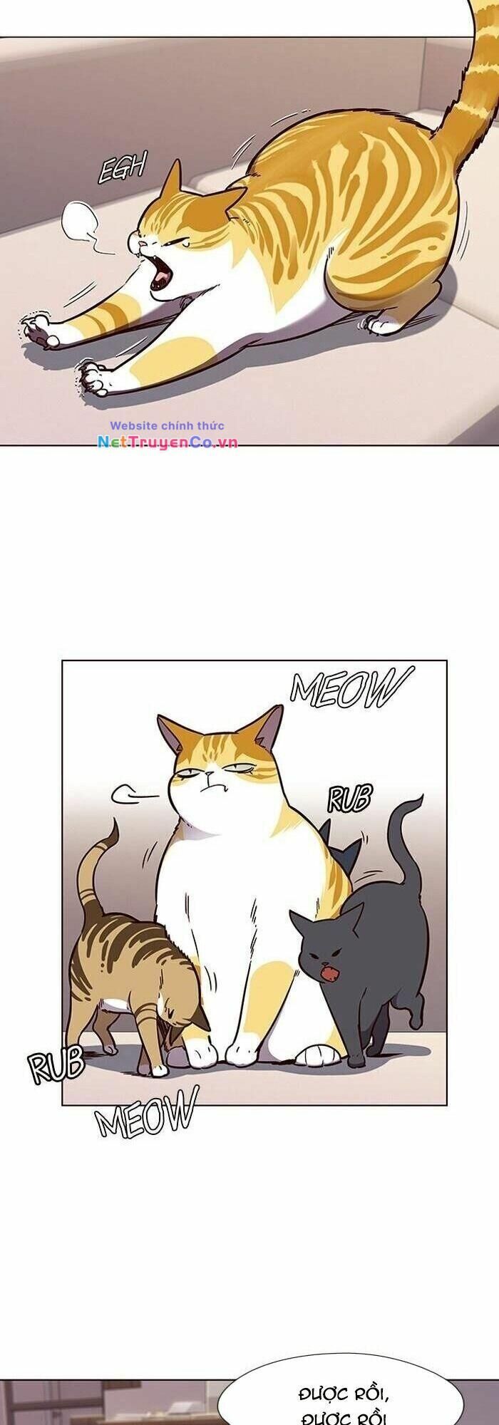 Cô Dâu Của Sói Trắng [Chap 1-154]