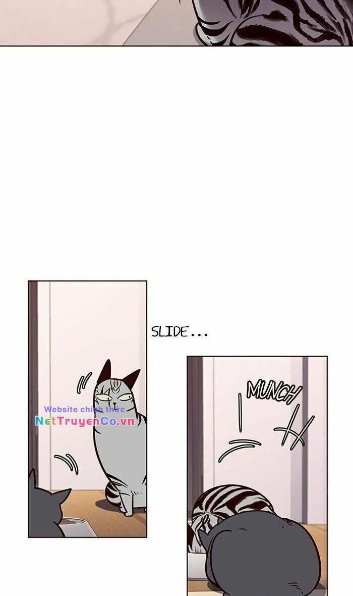 Cô Dâu Của Sói Trắng [Chap 1-154]