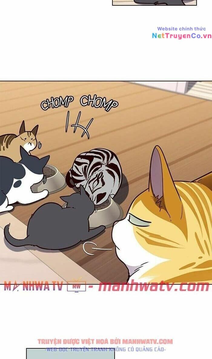 Cô Dâu Của Sói Trắng [Chap 1-154]