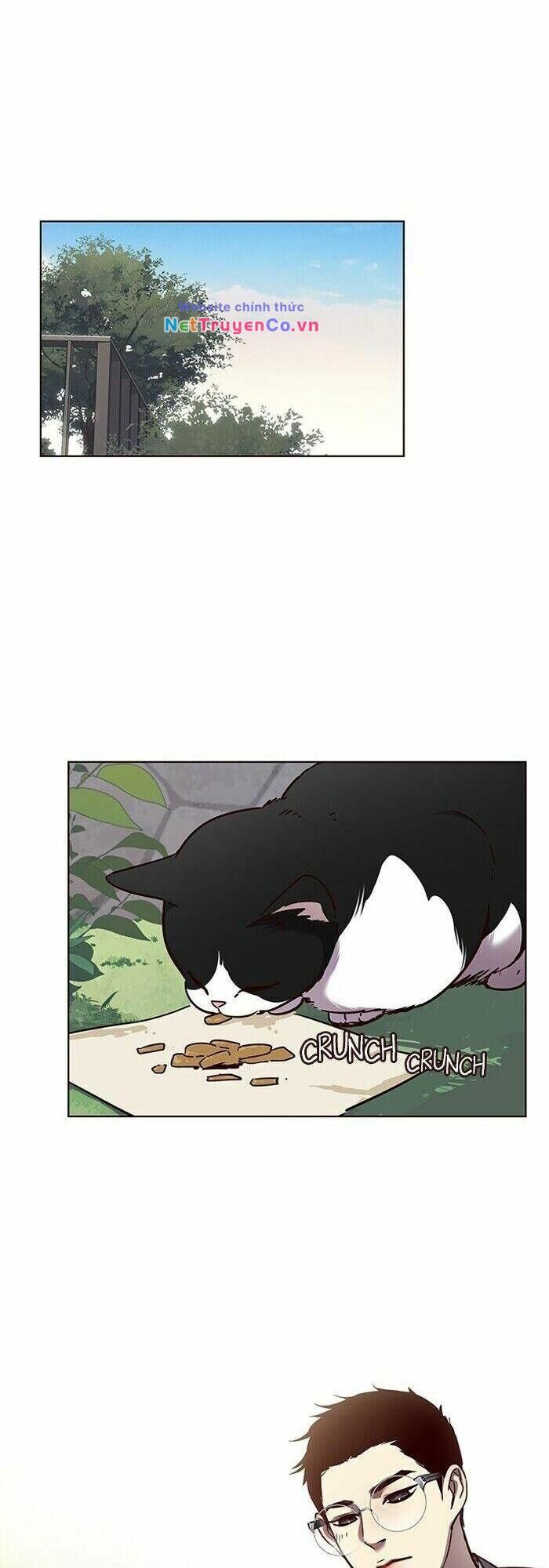 Cô Dâu Của Sói Trắng [Chap 1-154]