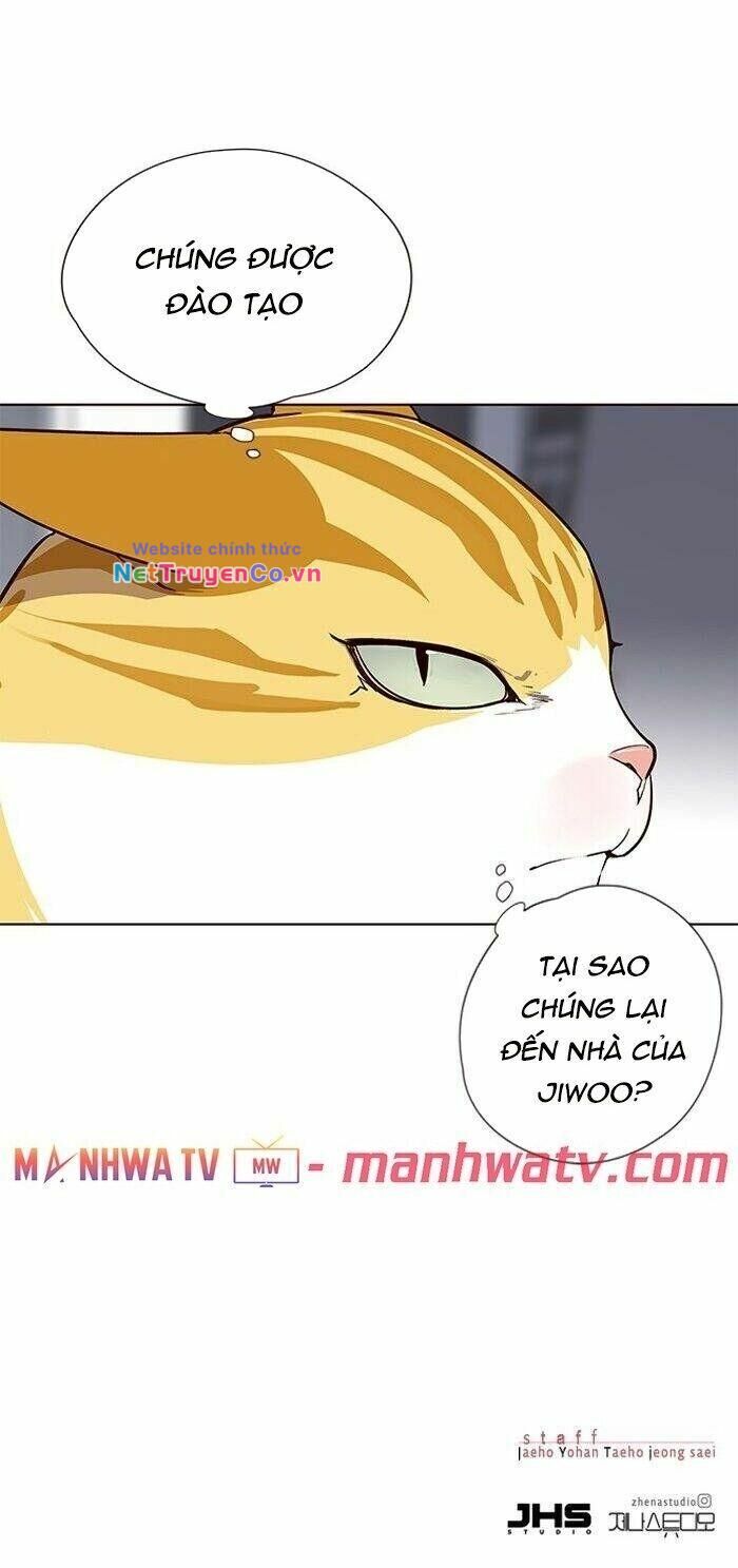 Cô Dâu Của Sói Trắng [Chap 1-154]