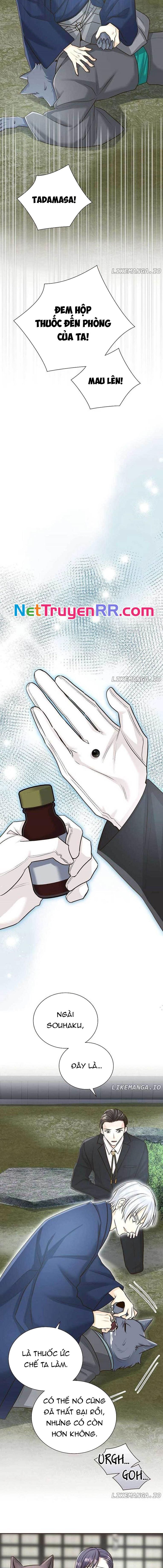 Cô Dâu Của Sói Trắng [Chap 1-154]