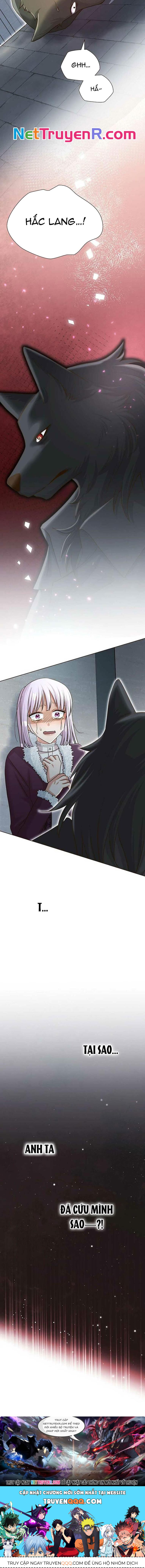 Cô Dâu Của Sói Trắng [Chap 1-154]