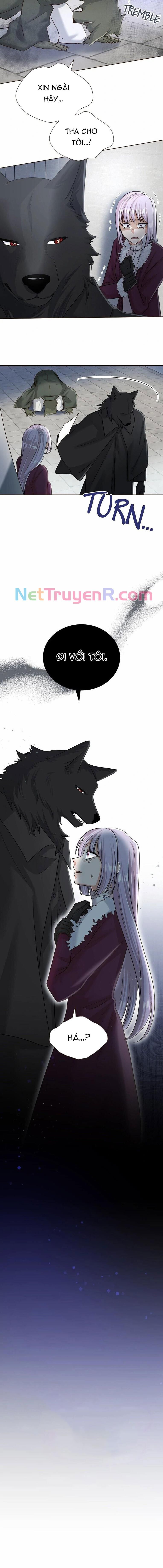 Cô Dâu Của Sói Trắng [Chap 1-154]