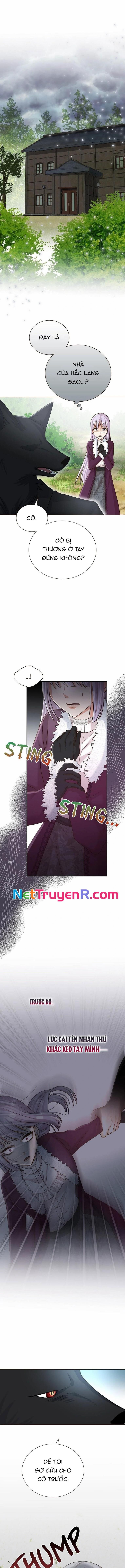 Cô Dâu Của Sói Trắng [Chap 1-154]