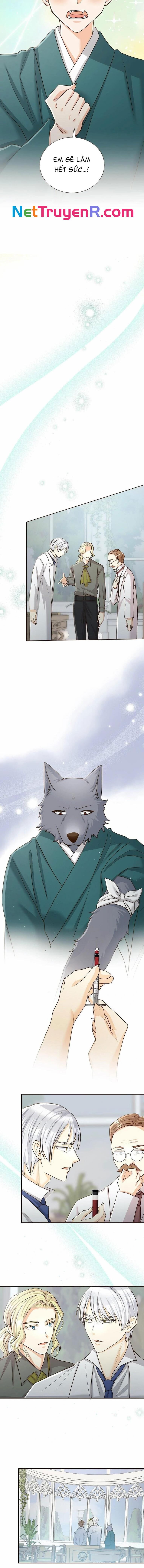 Cô Dâu Của Sói Trắng [Chap 1-154]