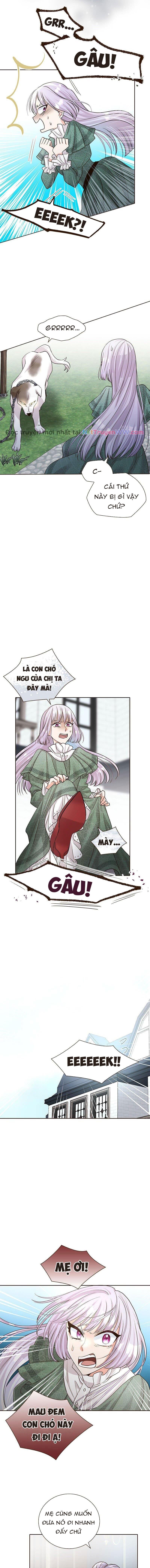Cô Dâu Của Sói Trắng [Chap 1-154]