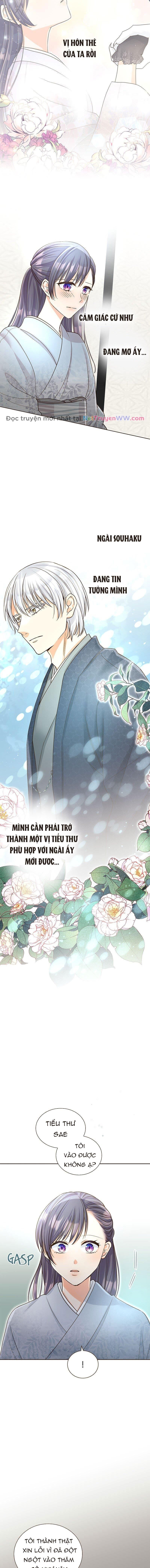 Cô Dâu Của Sói Trắng [Chap 1-154]