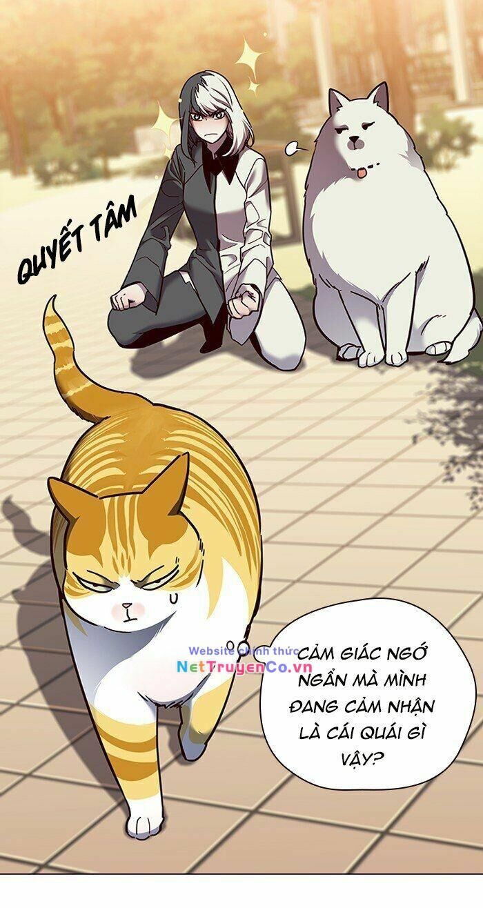 Cô Dâu Của Sói Trắng [Chap 1-154]