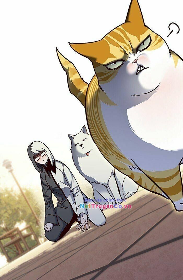 Cô Dâu Của Sói Trắng [Chap 1-154]