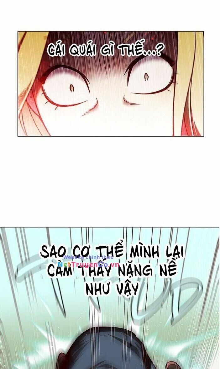 Cô Dâu Của Sói Trắng [Chap 1-154]