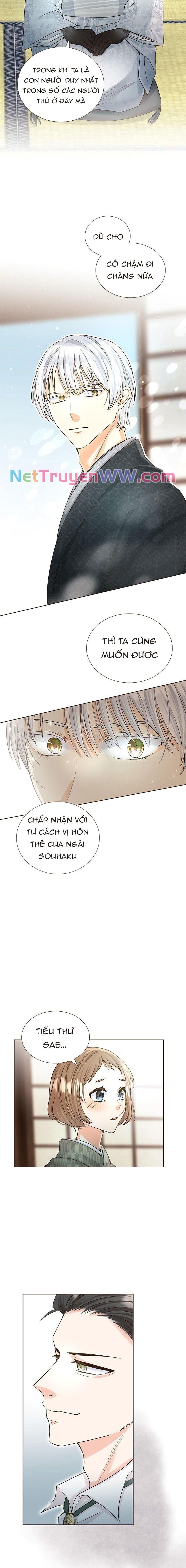 Cô Dâu Của Sói Trắng [Chap 1-154]