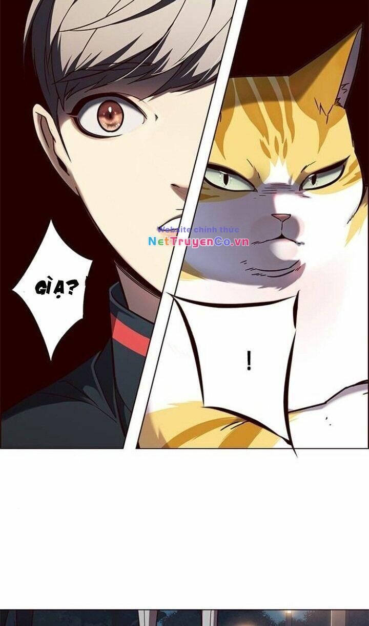 Cô Dâu Của Sói Trắng [Chap 1-154]