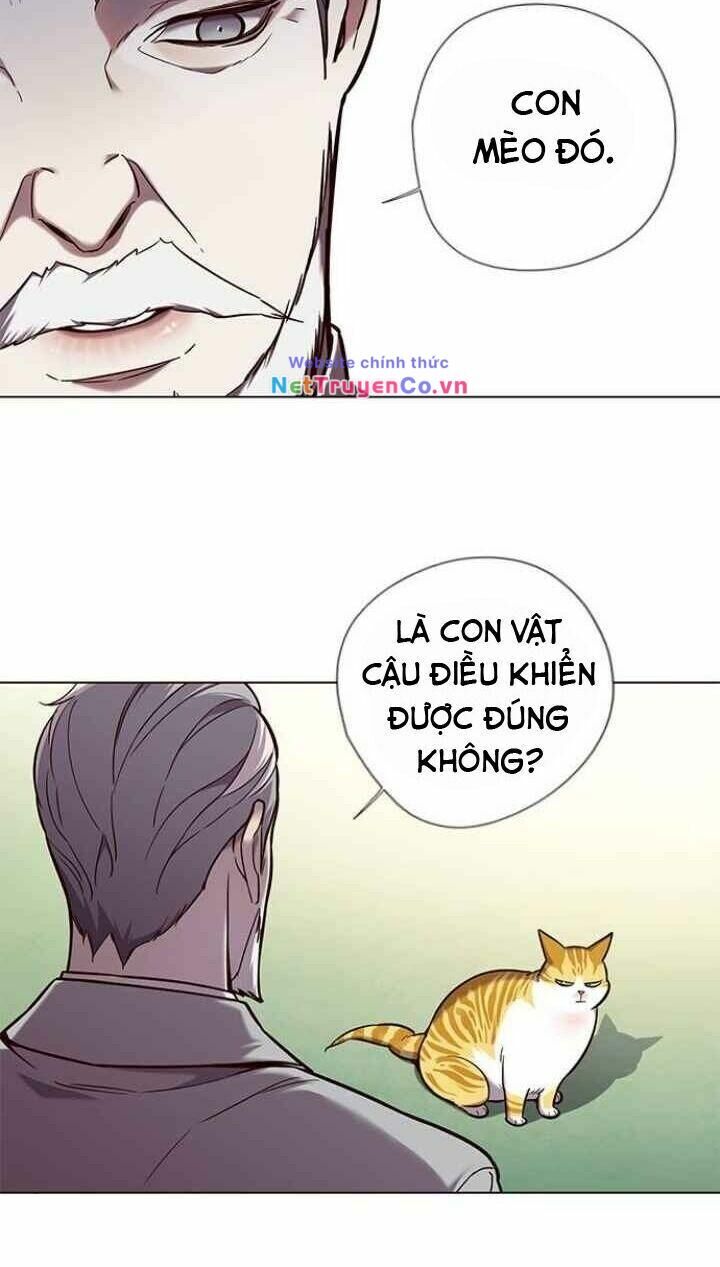 Cô Dâu Của Sói Trắng [Chap 1-154]