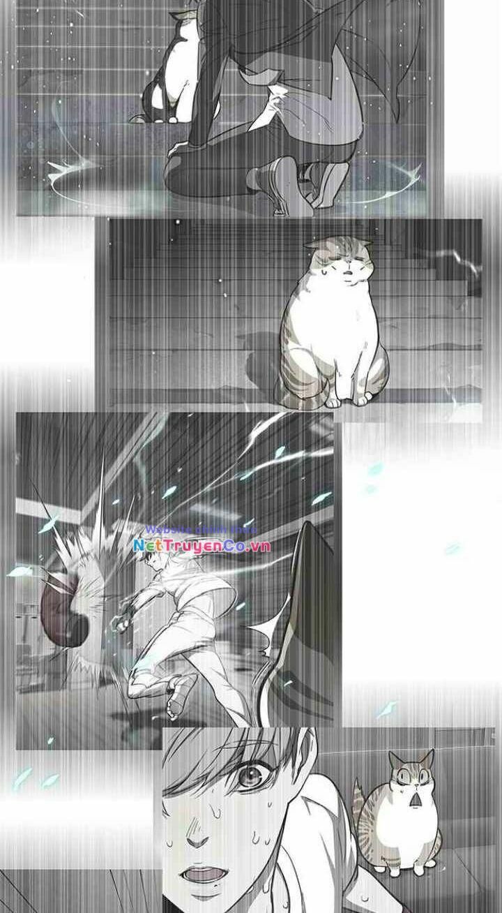 Cô Dâu Của Sói Trắng [Chap 1-154]