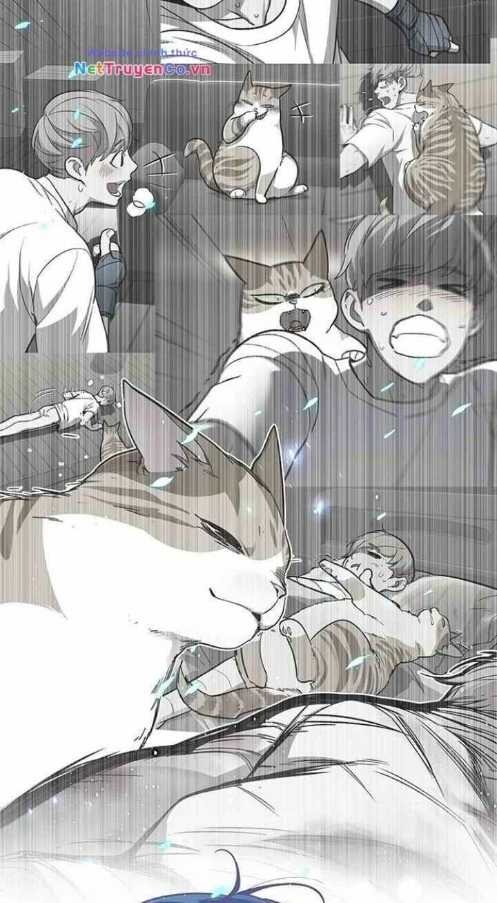 Cô Dâu Của Sói Trắng [Chap 1-154]
