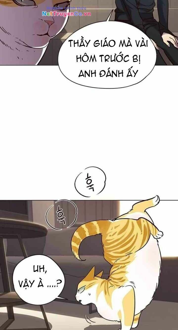Cô Dâu Của Sói Trắng [Chap 1-154]