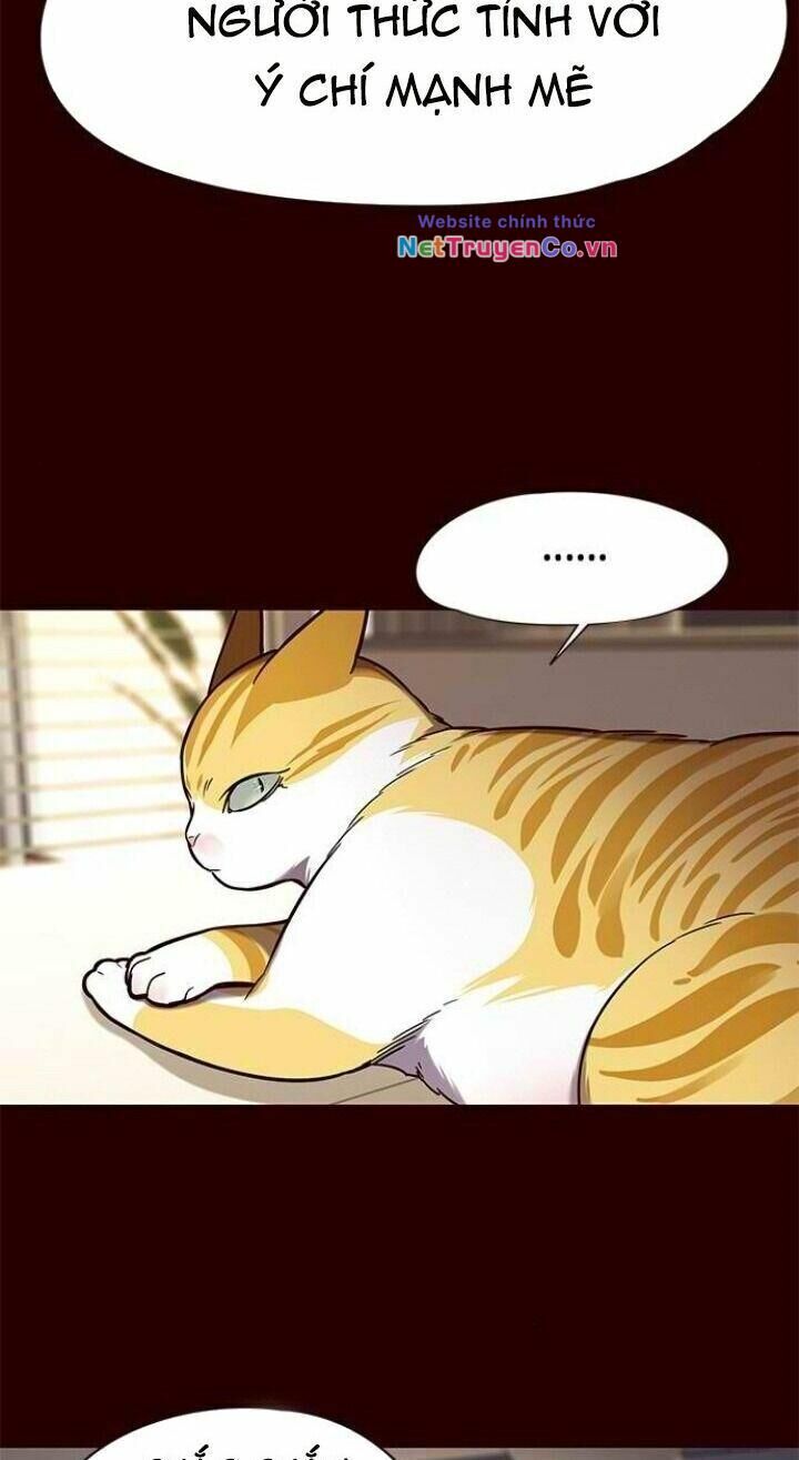 Cô Dâu Của Sói Trắng [Chap 1-154]