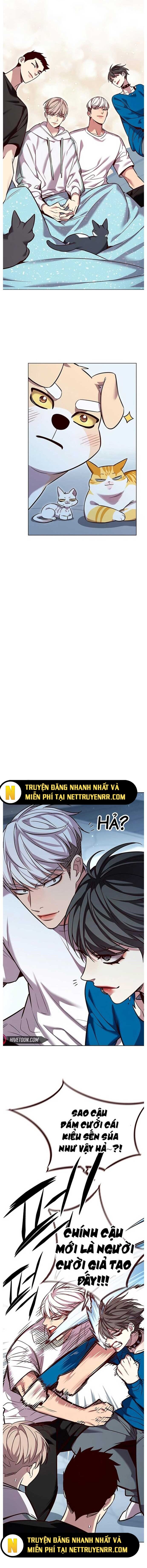 Hoá Thân Thành Mèo [Chap 340-354]