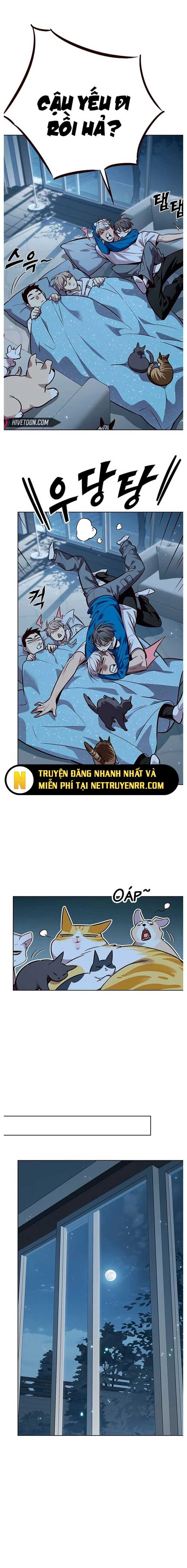 Hoá Thân Thành Mèo [Chap 340-354]