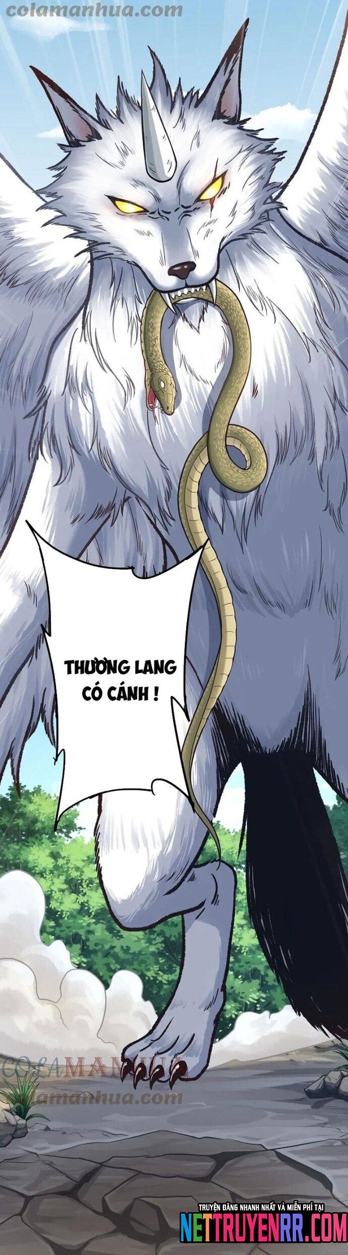 Ta Cày Level Từ Trong Gương [Chap 47-70]