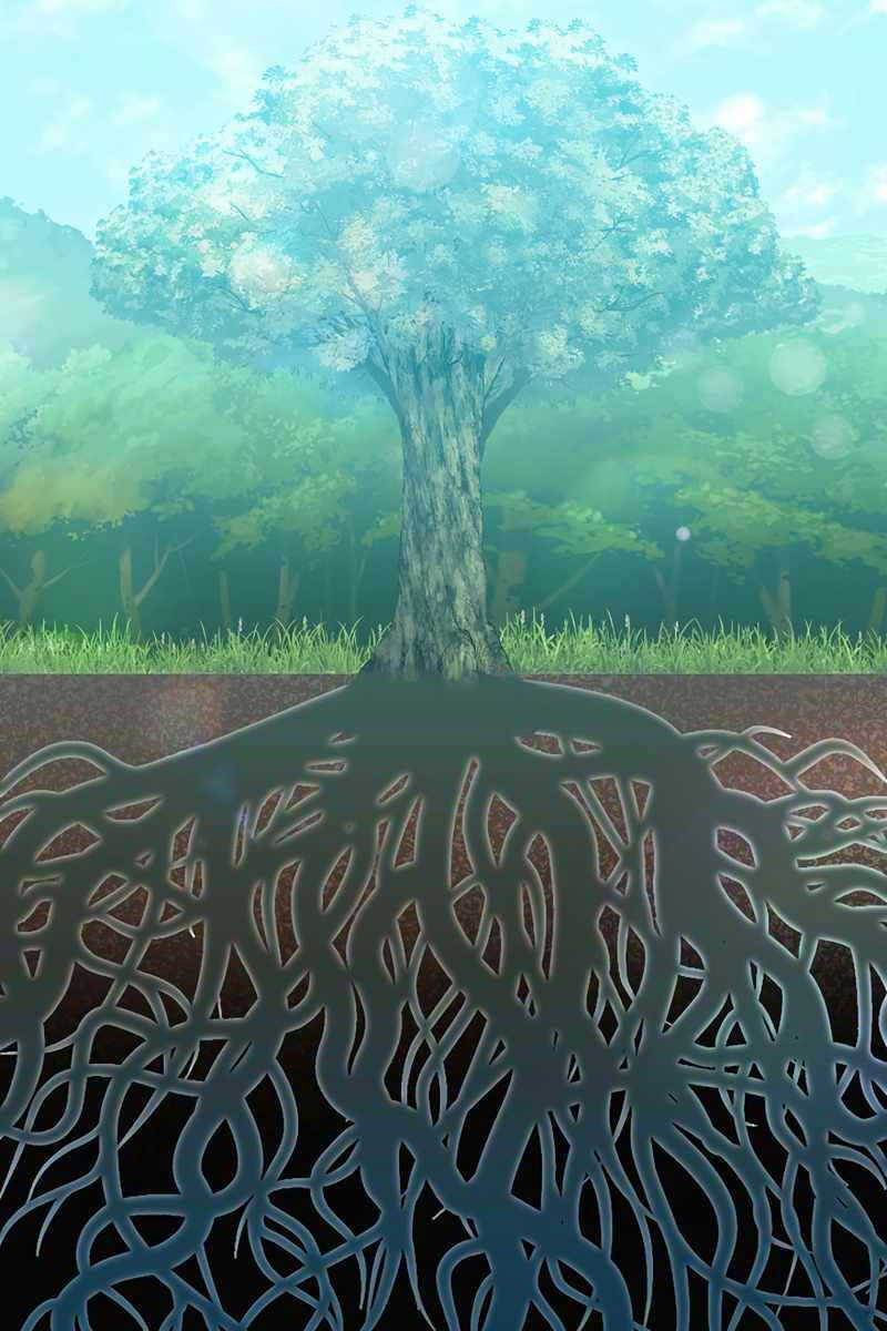 Tuyệt Đỉnh Võ Lâm [Chap 12-46]
