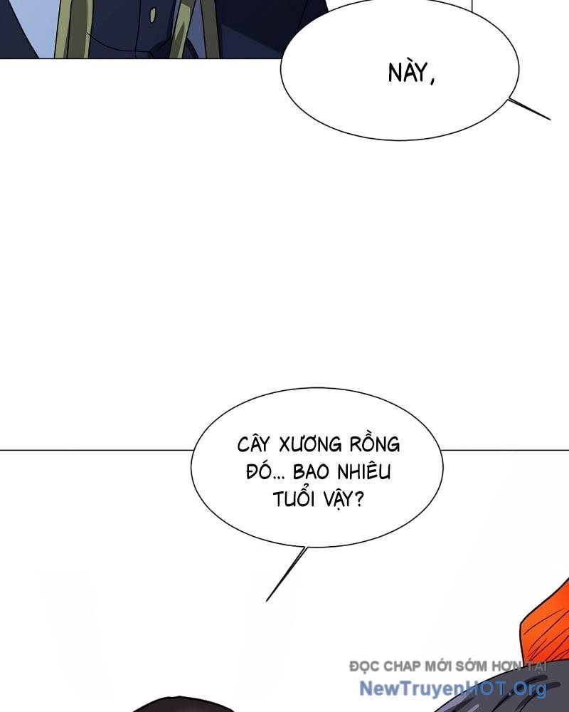 Estio [Chap 59-64]