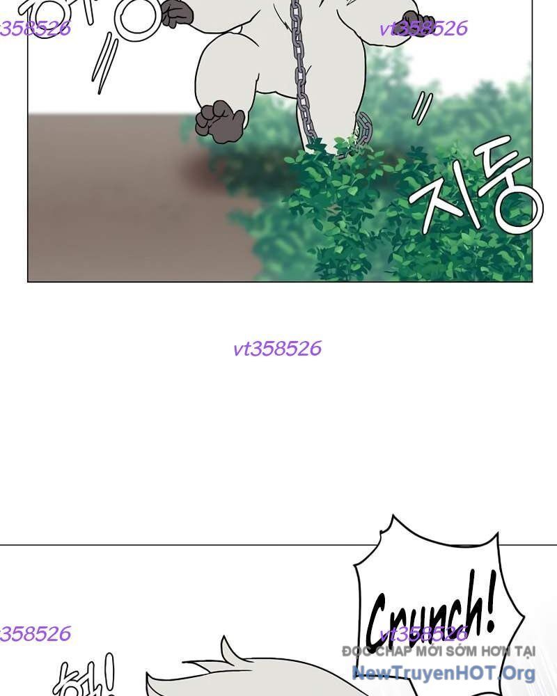 Estio [Chap 59-64]