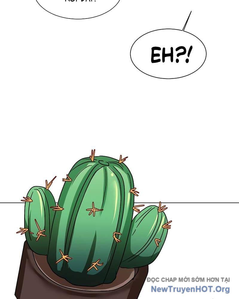Estio [Chap 59-64]