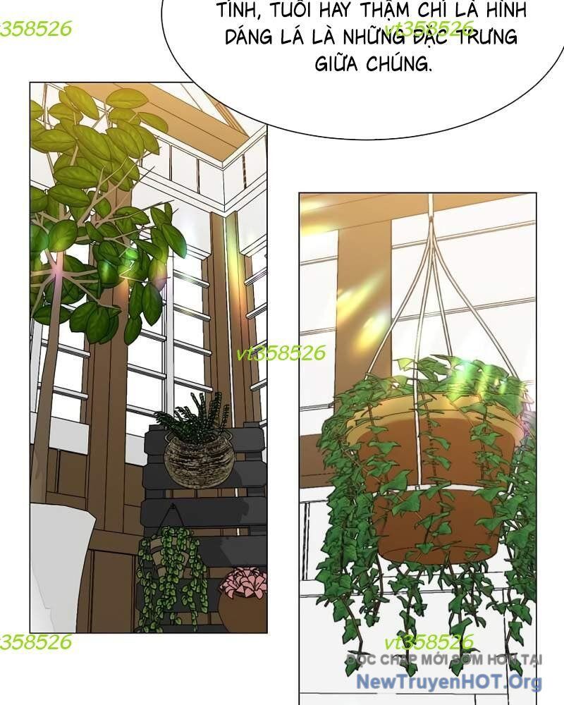 Estio [Chap 59-64]