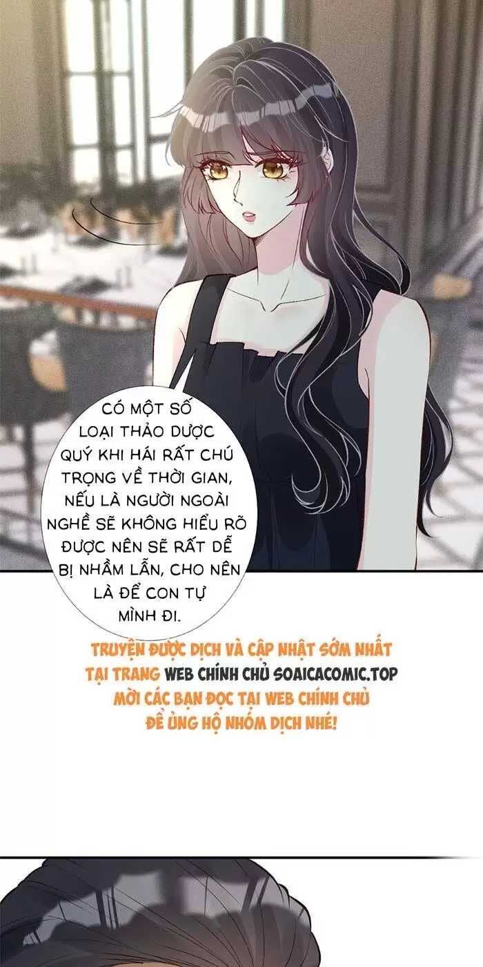 Ôm Khẩn Tiểu Mã Giáp Của Tôi [Chap 323-369] - Page 36
