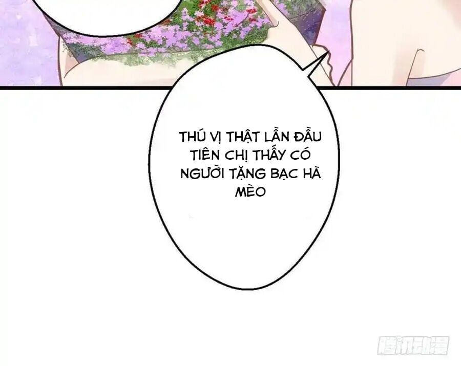 Tôi Không Phải Nữ Phụ Ác Độc [Chap 91-179]