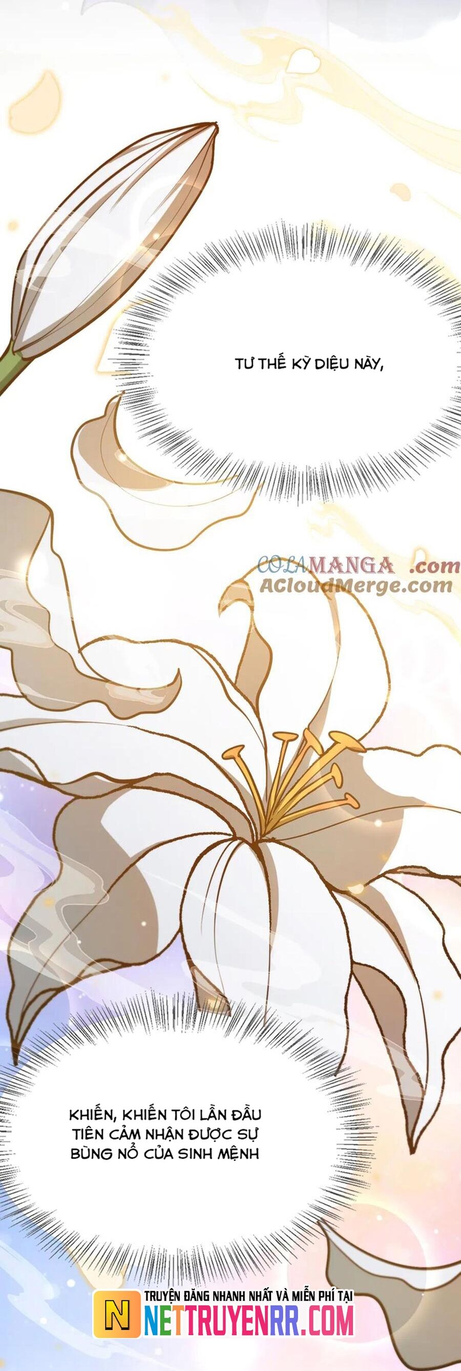 Ta Bị Kẹt Cùng Một Ngày 1000 Năm [Chap 156-196] - Page 14