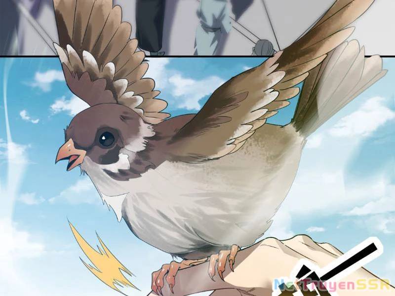Bắt Đầu Chấn Kinh Nữ Đế Lão Bà Ta Vô Địch! [Chap 1-83]
