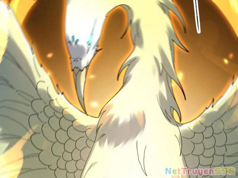 Bắt Đầu Chấn Kinh Nữ Đế Lão Bà Ta Vô Địch! [Chap 1-83]