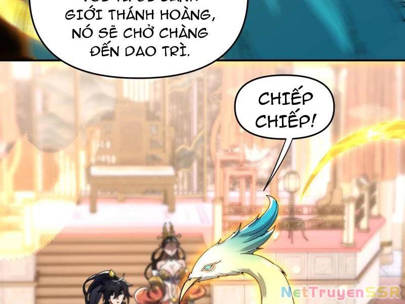 Bắt Đầu Chấn Kinh Nữ Đế Lão Bà Ta Vô Địch! [Chap 1-83]