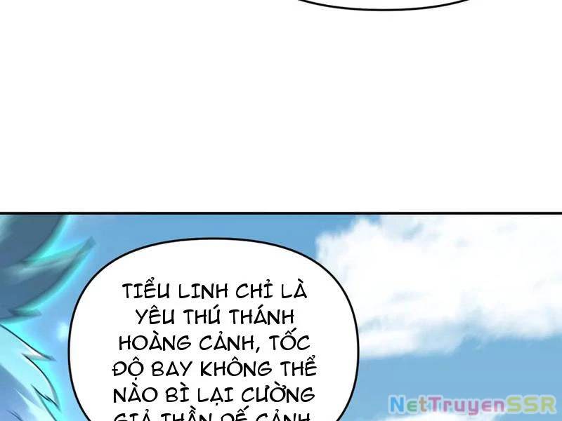 Bắt Đầu Chấn Kinh Nữ Đế Lão Bà Ta Vô Địch! [Chap 1-83]