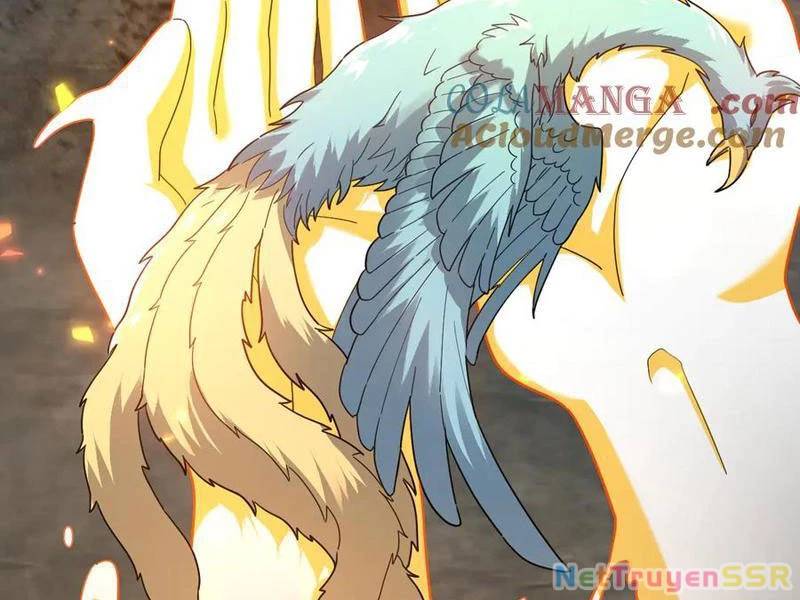 Bắt Đầu Chấn Kinh Nữ Đế Lão Bà Ta Vô Địch! [Chap 1-83]