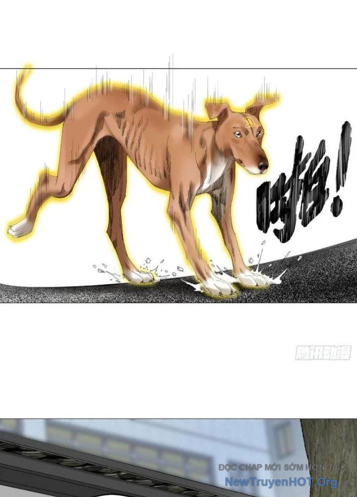 Chapter Image