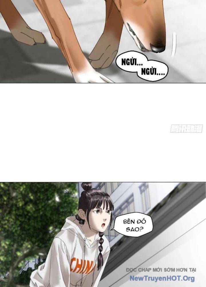 Chapter Image