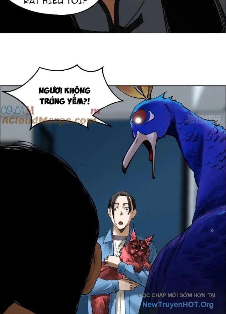 Chapter Image