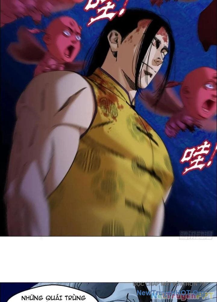 Chapter Image