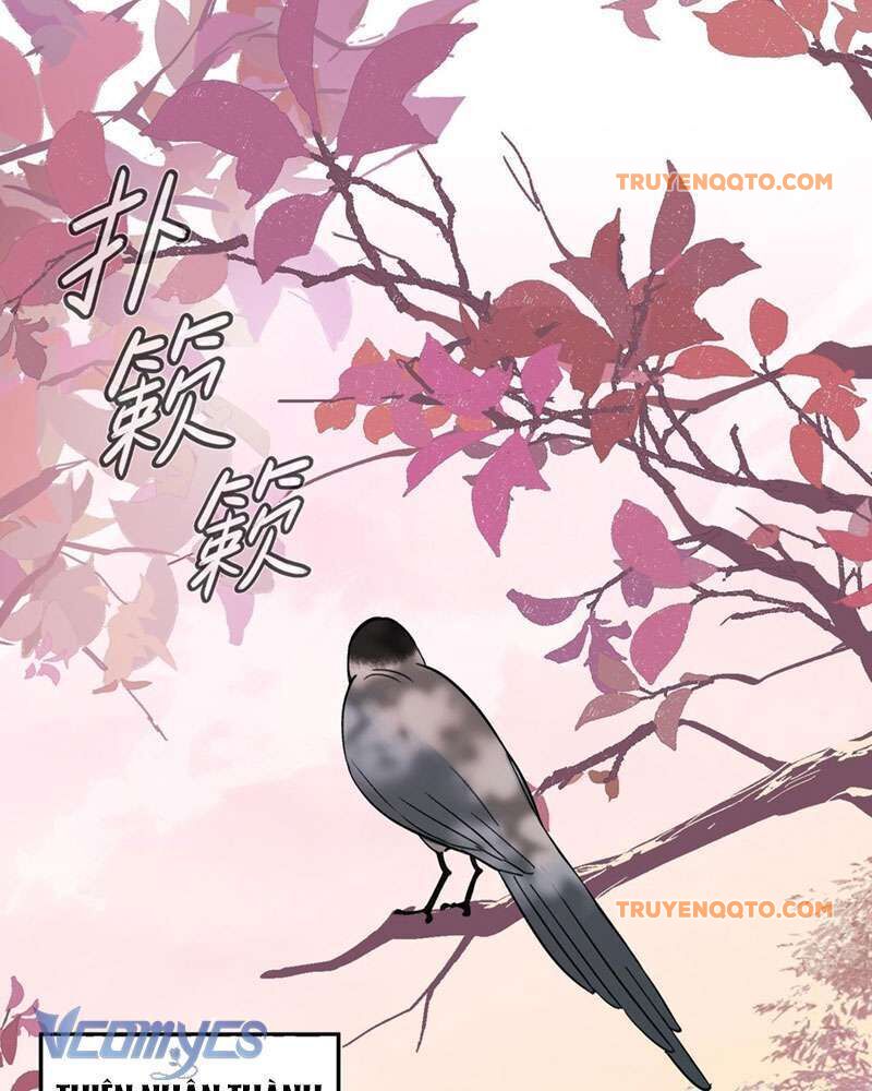 Chapter 9 - Image 32