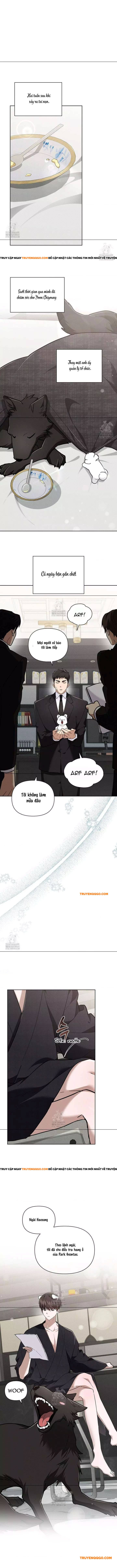 Đừng Đùa Với Cún Con [Chap 45-47]