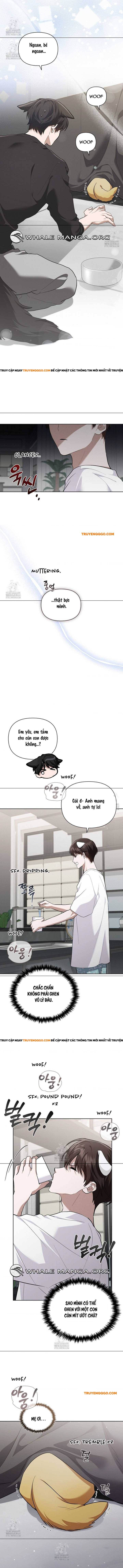 Đừng Đùa Với Cún Con [Chap 45-47]