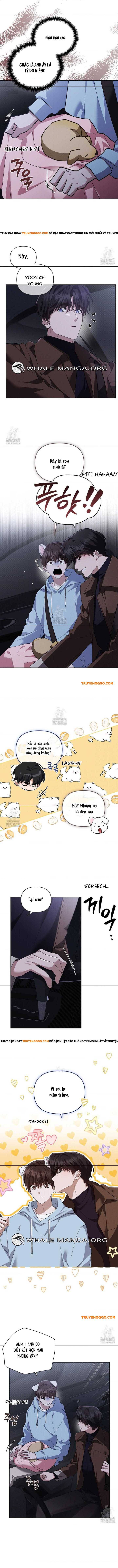 Đừng Đùa Với Cún Con [Chap 45-47]